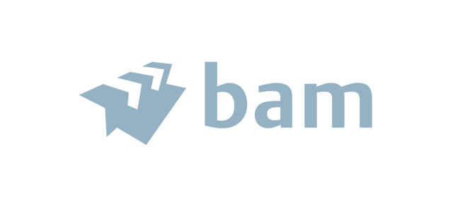 Logo bam